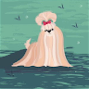 Meet your Posher, Anaid